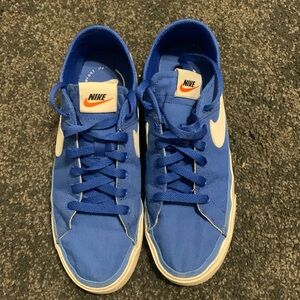 Blue Nike SB shoes
